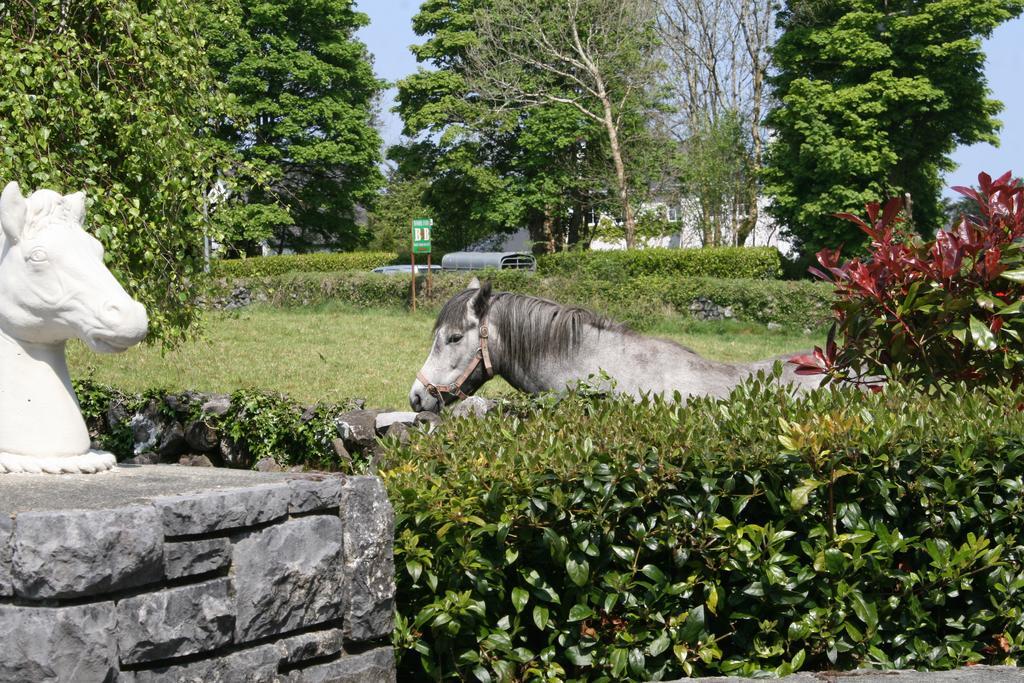 Carrowntober House B & B Oughterard Eksteriør billede