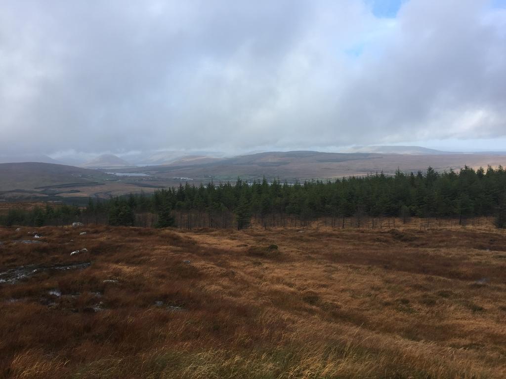 Carrowntober House B & B Oughterard Eksteriør billede